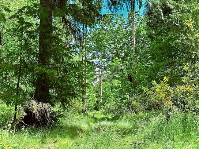 4507 Whiteman Rd Sw, House other with 2 bedrooms, 2 bathrooms and 4 parking in Longbranch WA | Image 35