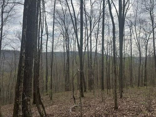 Lot 84 Buckeye Ln, Wilder, TN, 38589 | Card Image