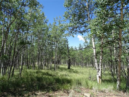782 Bow String Rd, Como, CO, 80456 | Card Image