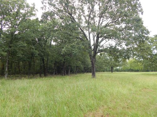 14 Lakeside Estates, Bagwell, TX, 75412 | Card Image