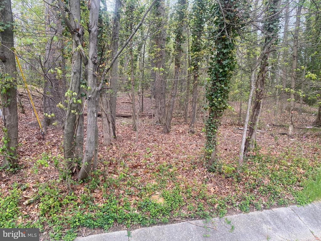 Land in OXON HILL 5