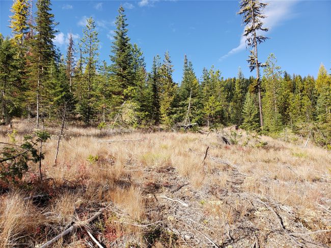 114 Packer Creek Rd, Home with 0 bedrooms, 0 bathrooms and null parking in Haugan MT | Image 9