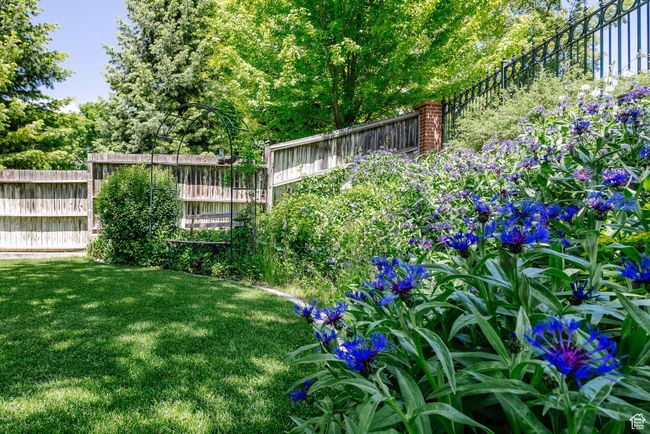 View of yard | Image 96