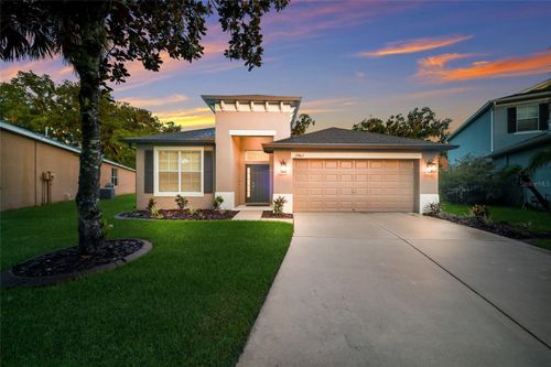 17463 New Cross Cir, LITHIA, FL, 33547-4916 | Card Image