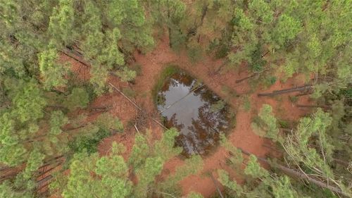 TBD Fcr 273, Oakwood, TX, 75855 | Card Image