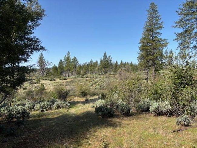 19292 Shawnee Trl, Home with 0 bedrooms, 0 bathrooms and null parking in Mokelumne Hill CA | Image 73