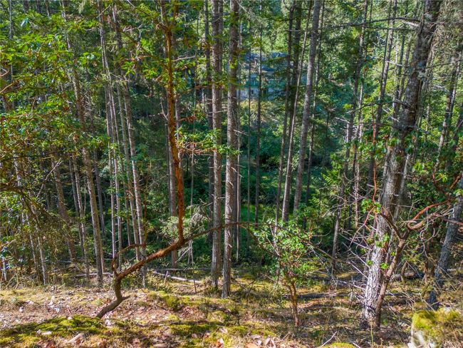 3705 Keel Cres, Home with 0 bedrooms, 0 bathrooms and 2 parking in Pender Island BC | Image 7