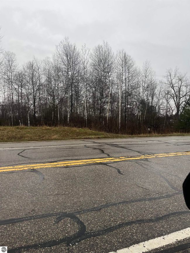0 N Michigan Ave, Home with 0 bedrooms, 0 bathrooms and null parking in Manton MI | Image 5