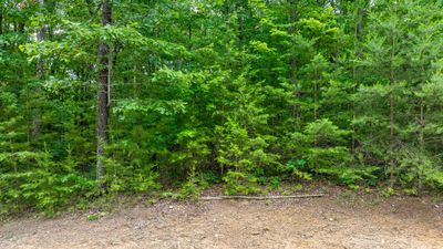 Lot 542 Wilderness Way | Image 2