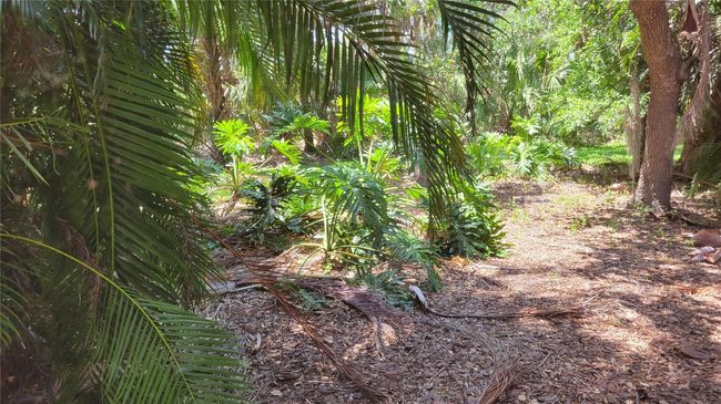 5050 Hanging Moss Ln, House other with 3 bedrooms, 3 bathrooms and null parking in SARASOTA FL | Image 29
