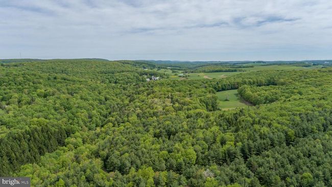 532 Pine Grove Rd, House other with 4 bedrooms, 4 bathrooms and null parking in LONACONING MD | Image 82