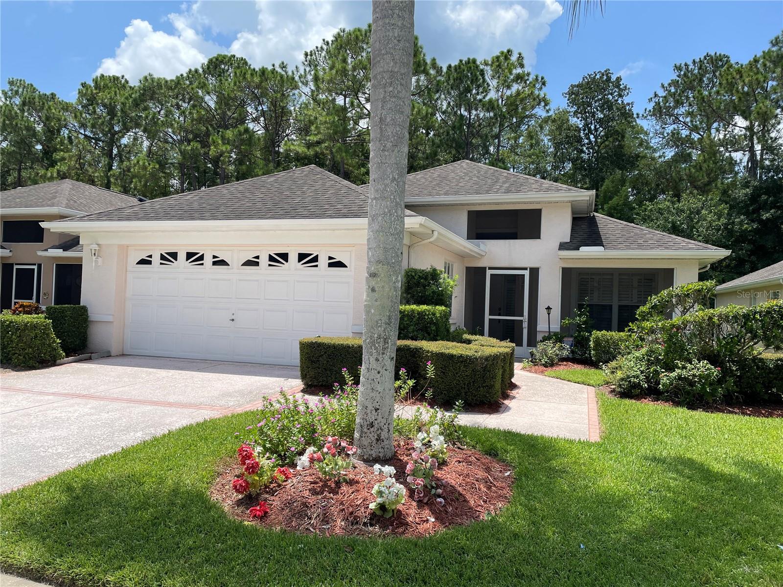 Trafalgar Dr, New Port Richey, FL 34655