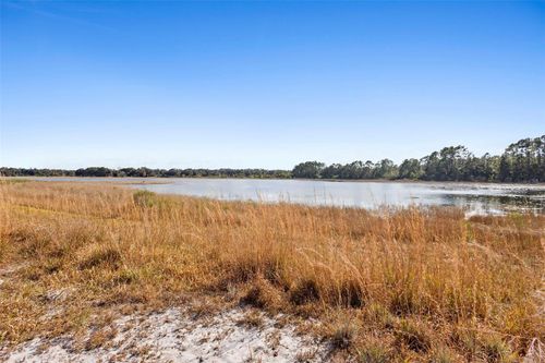 TBD Se 256th Ave, Umatilla, FL, 32784 | Card Image