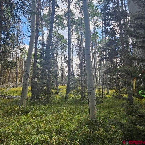 155 Aspen Trl, Cimarron, CO, 81220-8902 | Card Image