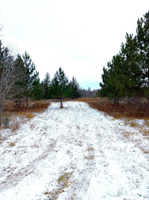 Lot 3 - TBD 330th Street, Warroad, MN, 56763 | Card Image