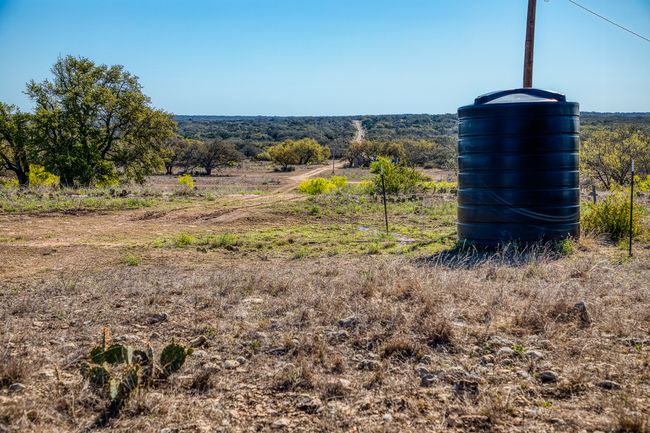 View of yard | Image 13