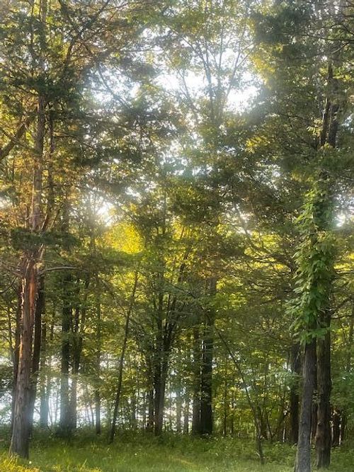 .34 Acre Buckeye Hills Rd, Falmouth, KY, 41040 | Card Image