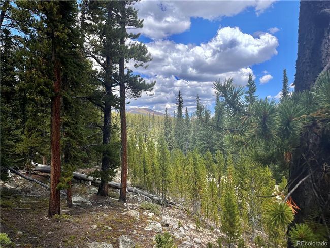 676 Dry Gulch Rd, Home with 0 bedrooms, 0 bathrooms and null parking in Fairplay CO | Image 28
