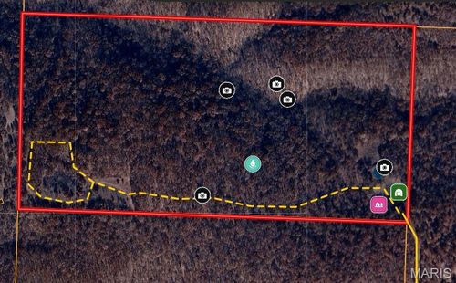 1038 Mug Dr, Mack's Creek, MO, 65786 | Card Image