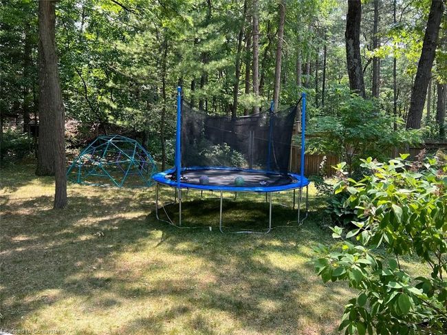 10007 Port Franks Rd, House other with 5 bedrooms, 2 bathrooms and 4 parking in Port Franks ON | Image 45