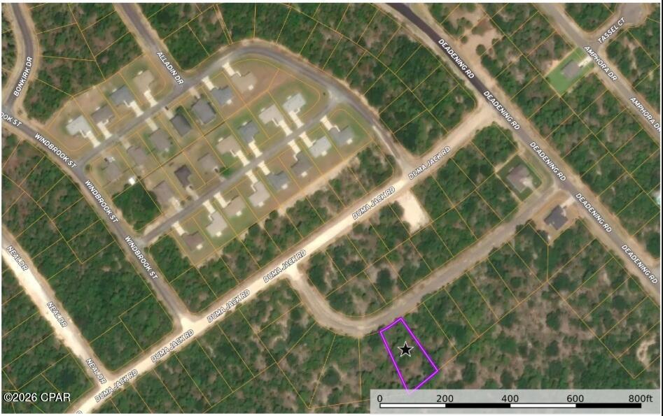 Land in Chipley 5