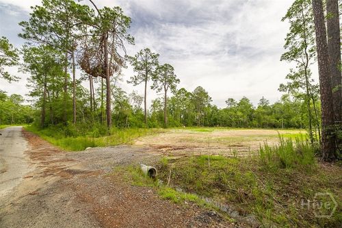 0 Zettler Rd, Springfield, GA, 31329 | Card Image