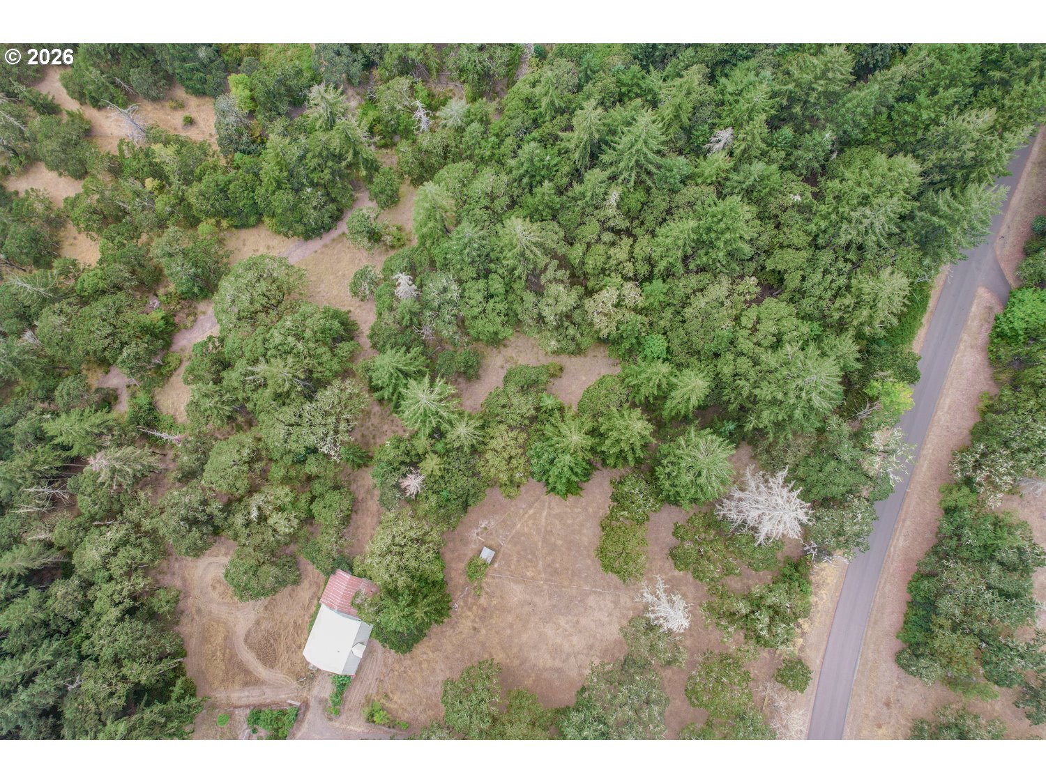 Land in Brownsville 2