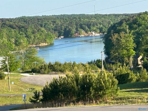 Lot 37 County Road 367, CRANE HILL, AL, 35053-3153 | Card Image