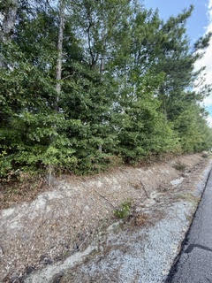 Land in Opelika 5