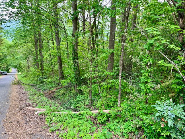 21 Omega Dr, Home with 0 bedrooms, 0 bathrooms and null parking in Whitwell TN | Image 4