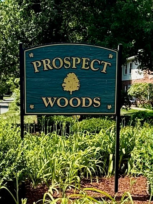 7-162 Prospect Ave, Northampton, MA, 01060-1659 | Card Image