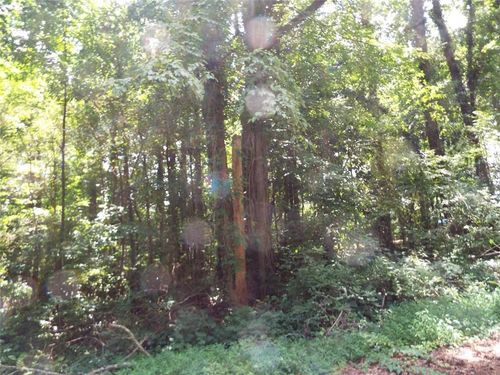 0 Swan Lake Rd-Lot 4 E, Stockbridge, GA, 30281 | Card Image
