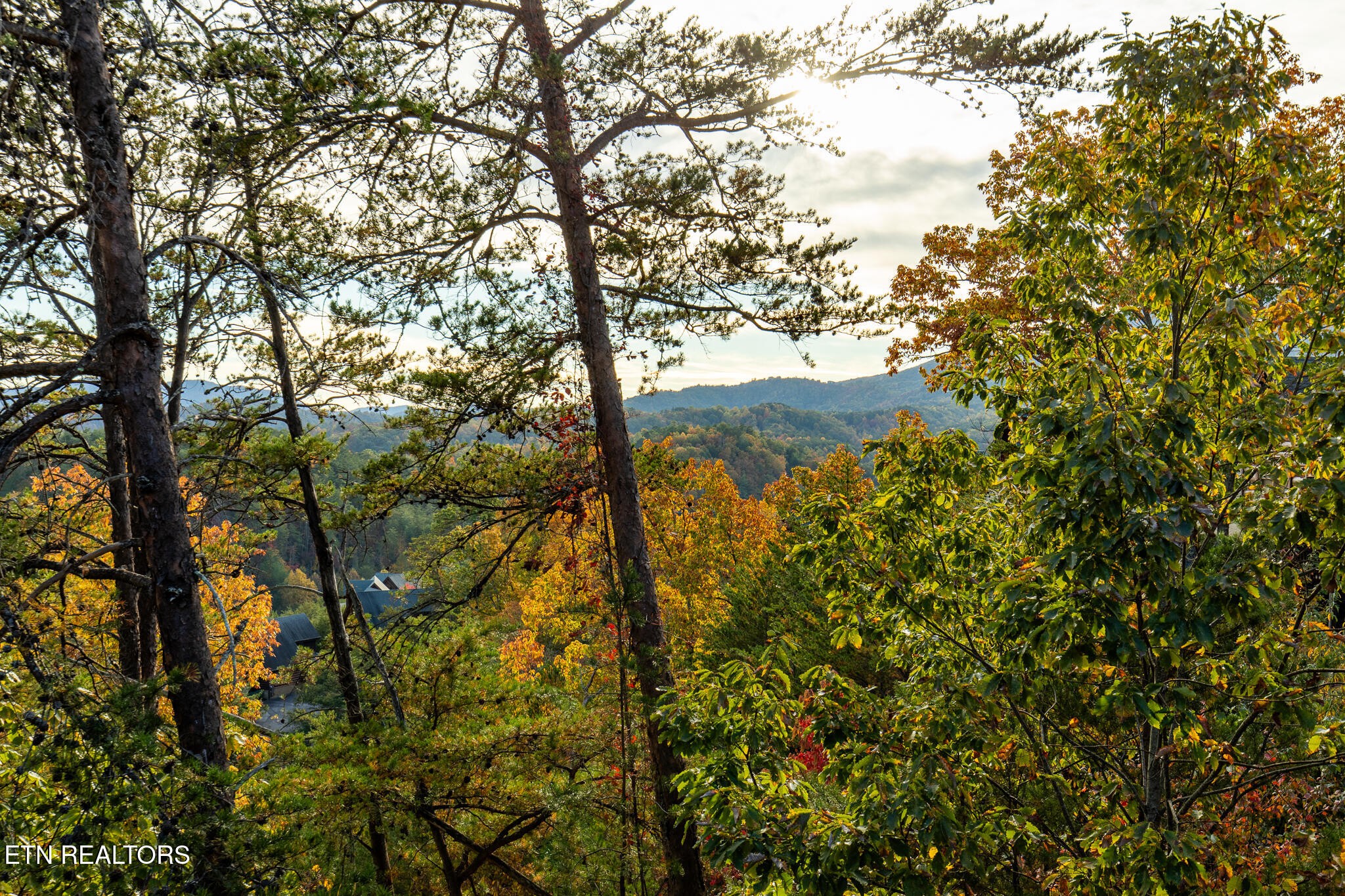 Residential in Sevierville 3