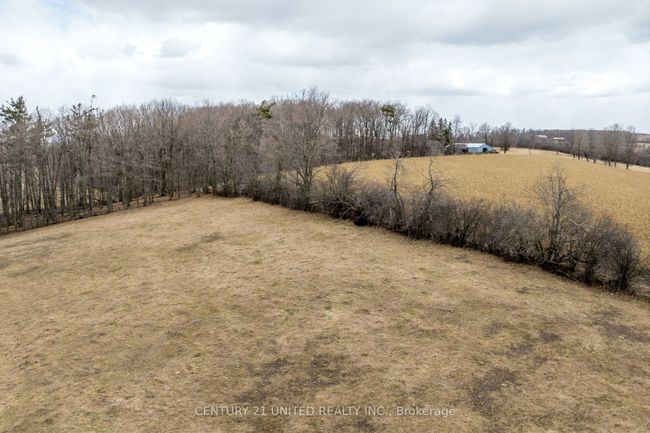 221 County Rd 2, Home with 0 bedrooms, 0 bathrooms and 4 parking in Bailieboro ON | Image 21