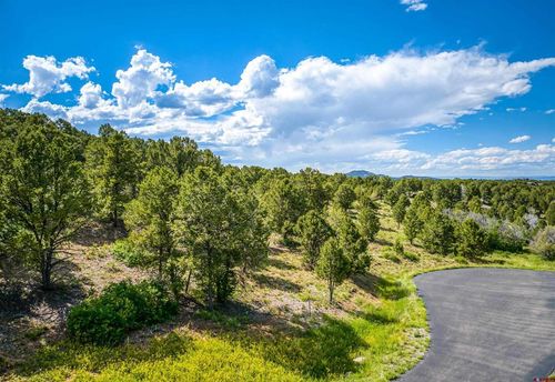 Lot 9 Pointe Escape Way, Ridgway, CO, 81432 | Card Image