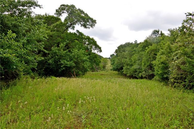 View of woods | Image 36