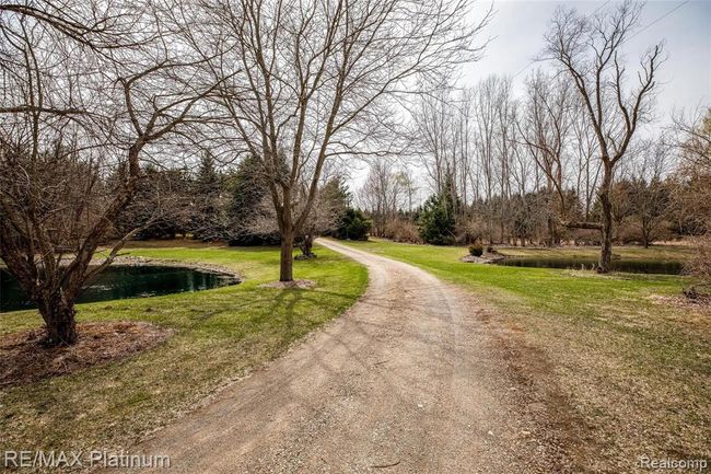 Your amazing 2 ponds and winding drive entrance! | Image 6