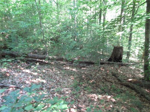 00 Gauley Falls Rd, Pickens, SC, 29671 | Card Image