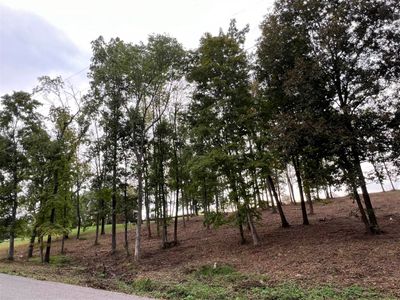 Lot 12 Hidden Valley Drive, Home with 0 bedrooms, 0 bathrooms and null parking in Morgantown KY | Image 3