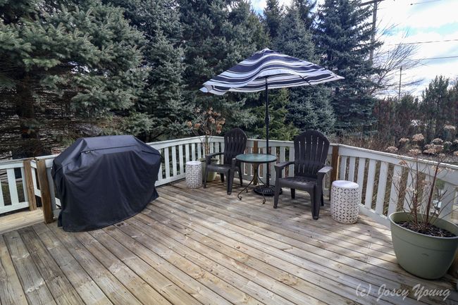 12709 Ospreys Way, House other with 5 bedrooms, 4 bathrooms and null parking in Dewitt MI | Image 24