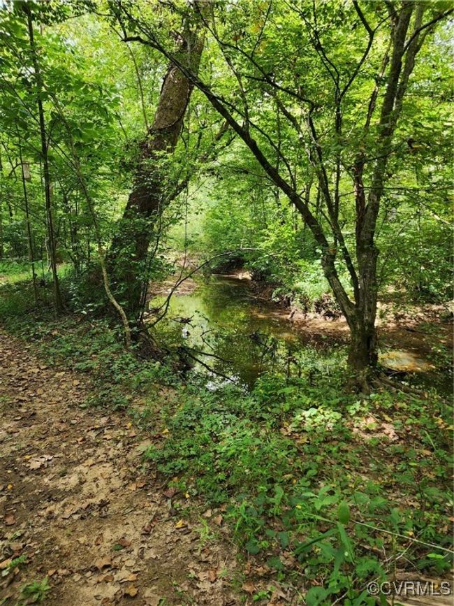 View of nature | Image 15
