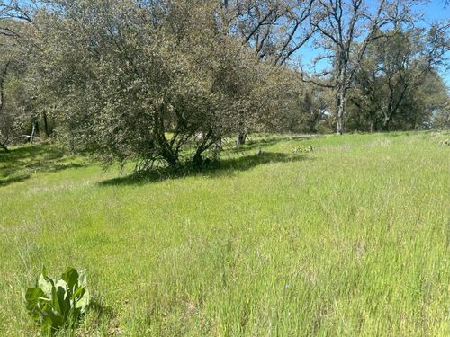 4600 Summer Creek Ct, Shingle Springs, CA, 95682 | Card Image