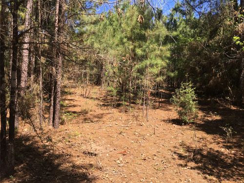 0 E Marion Ab 720 18 22 Ac, Kennard, TX, 75847 | Card Image