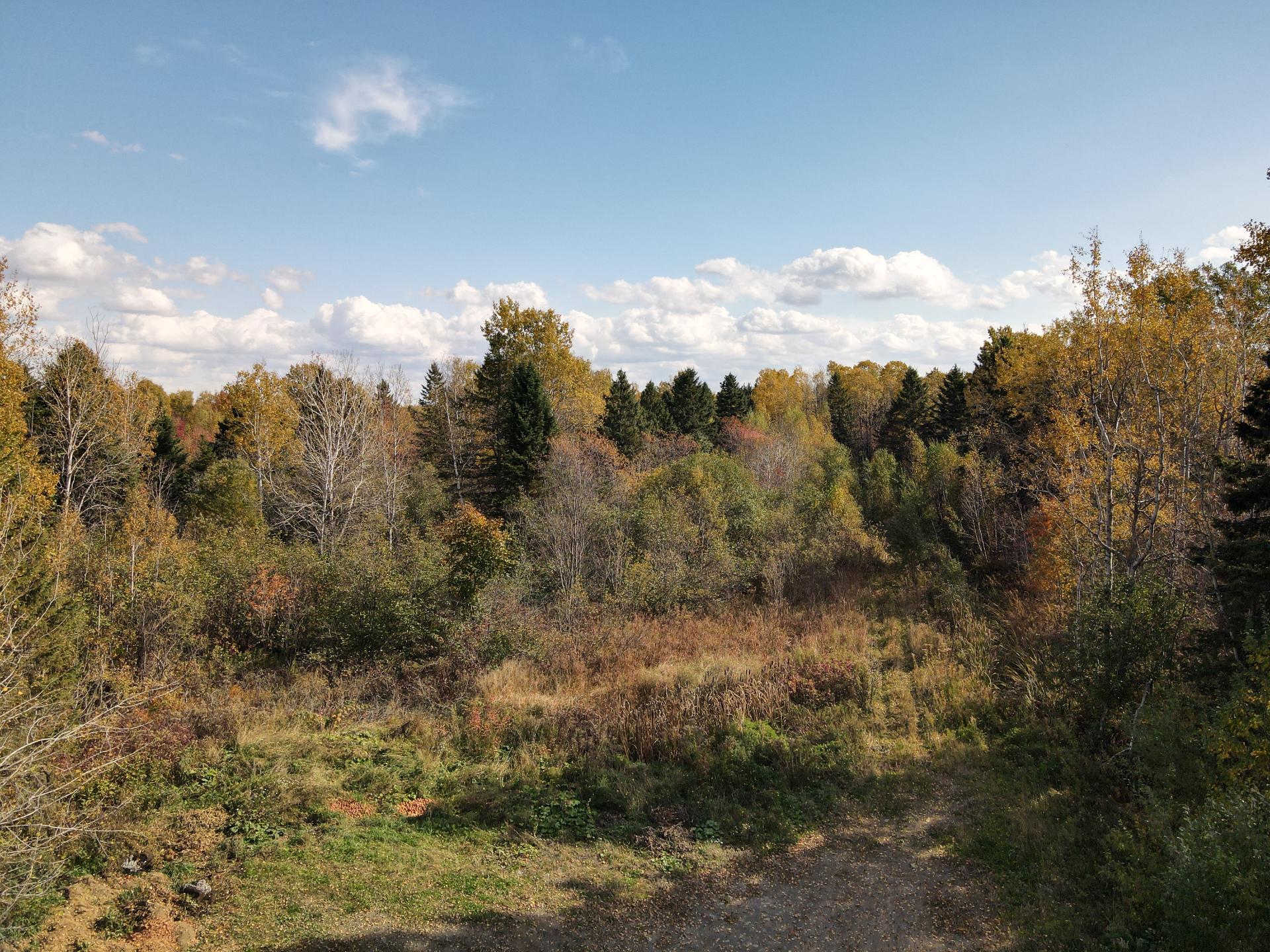 Land in Saint-Gabriel-Lalemant 3