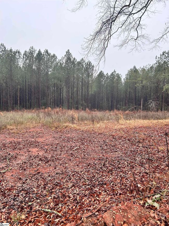 00 Columbia Rd, Home with 0 bedrooms, 0 bathrooms and null parking in Edgefield SC | Image 7