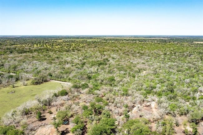 0 County Road 321, Home with 0 bedrooms, 0 bathrooms and null parking in Sweeny TX | Image 21