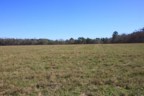 TBD Lot 7 Cook Rd, Slaughter, LA, 70777 | Card Image
