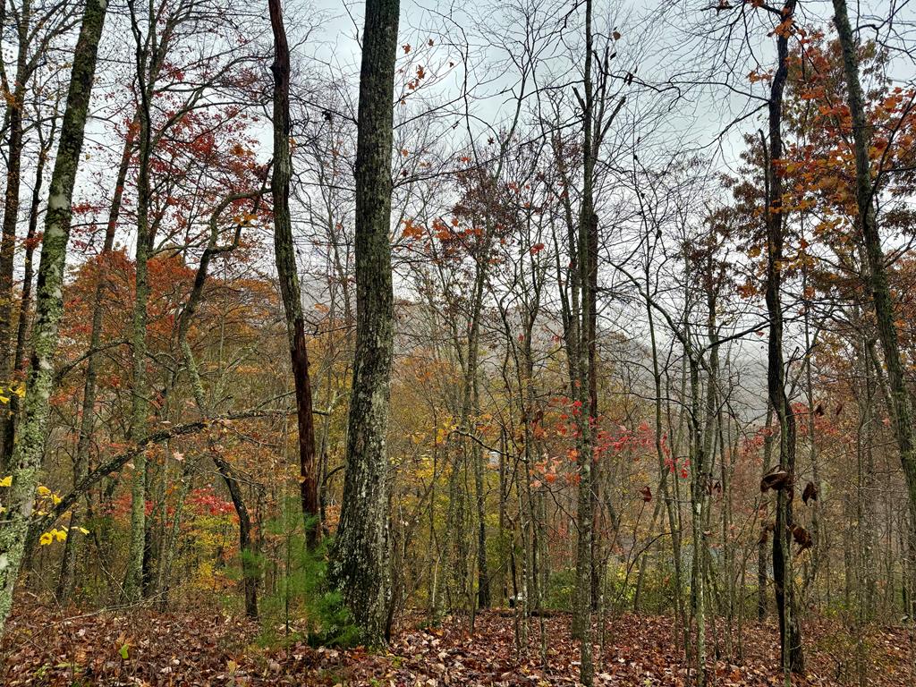 Land in Franklin
