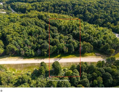 Lot #2 E Bellinger Rd, Cedar, MI, 49621 | Card Image