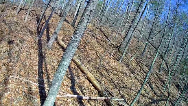0 N Woods Ln, Home with 0 bedrooms, 0 bathrooms and null parking in Trenton GA | Image 13
